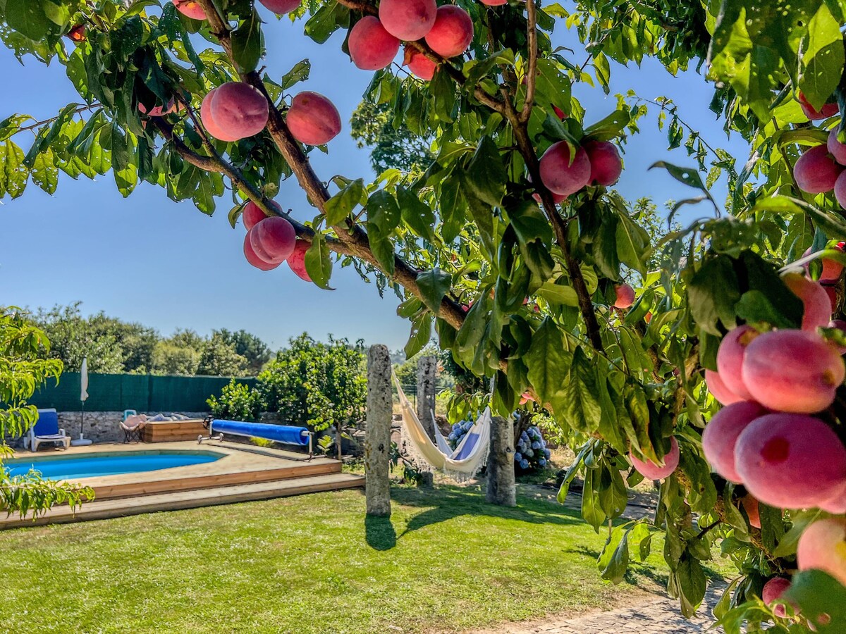 Casa de Perre Rustic House Pool Orchard Viana do Castelo