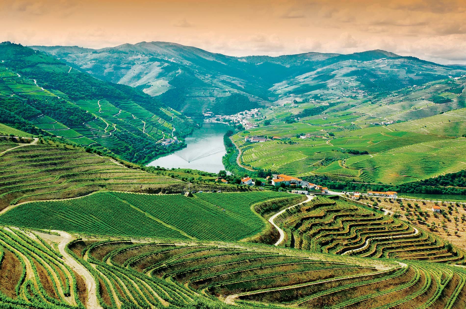 Douro Valley Portugal — terraced vineyards river quintas