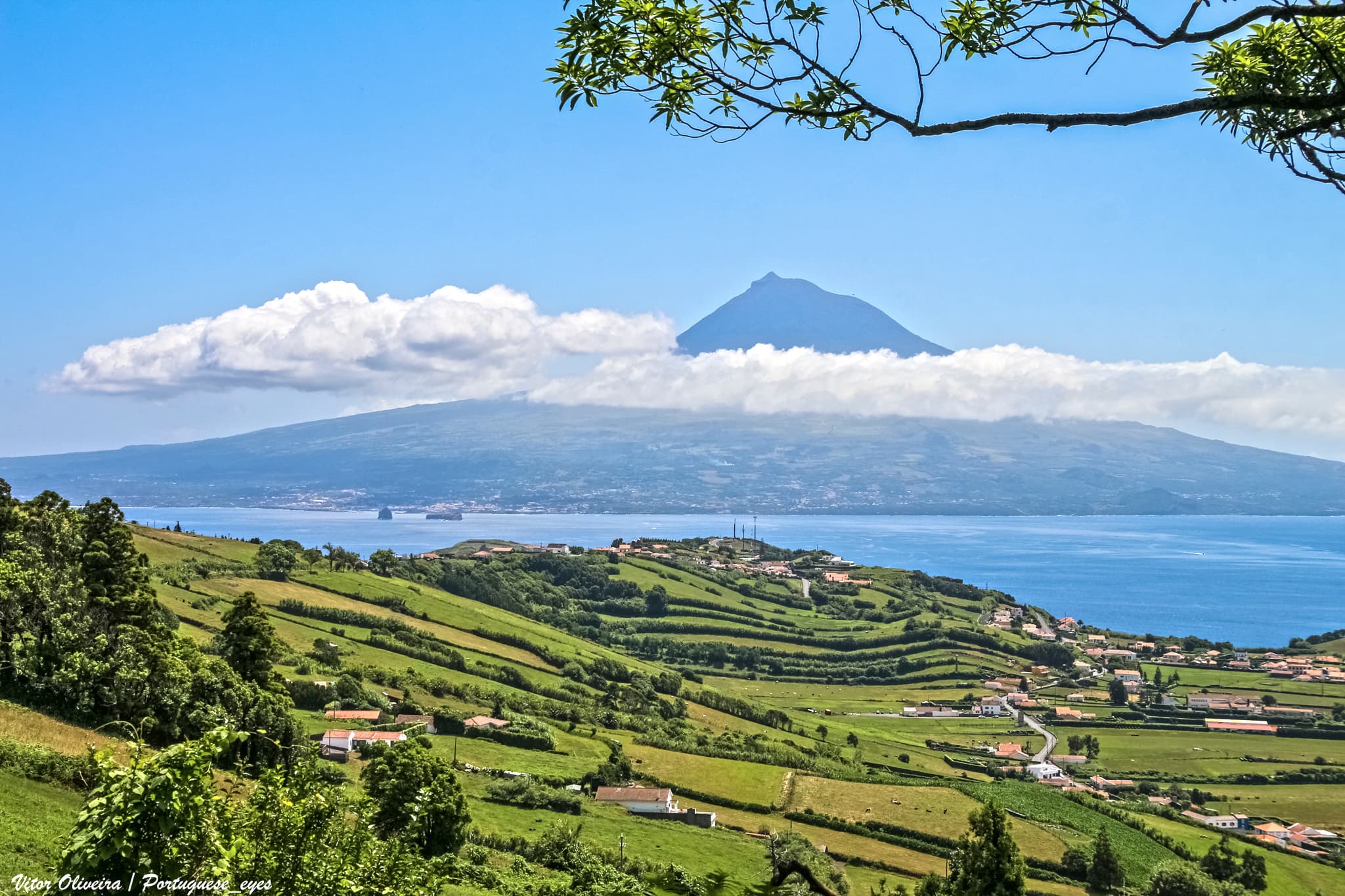 Faial Azores Blue Island