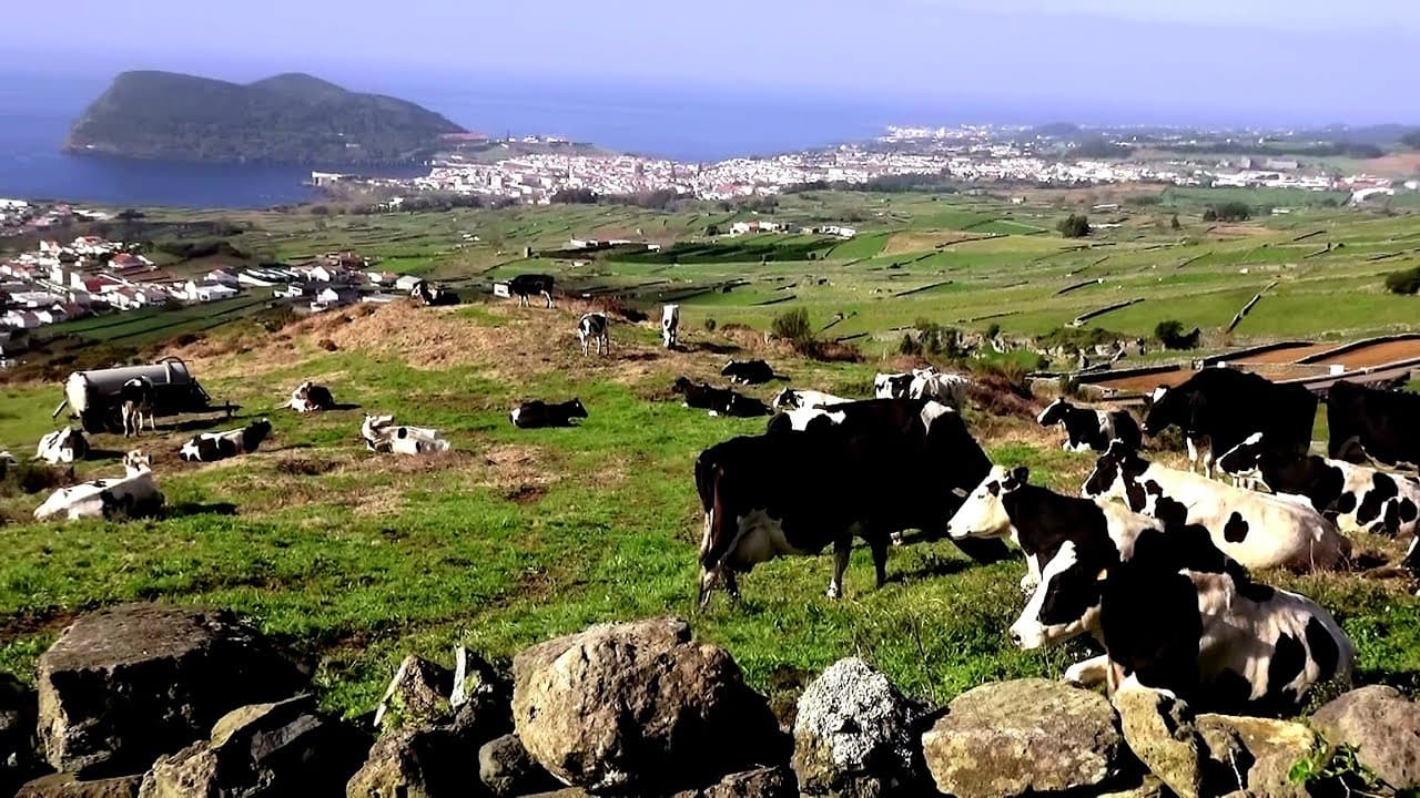 Terceira Azores Angra do Heroísmo