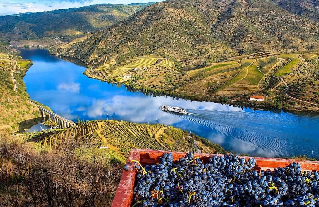 Douro Valley — terraced vineyards quintas river Portugal